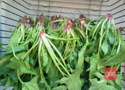 凉拌肉丁菠菜的做法图解1