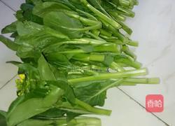 白灼菜心的做法图解1