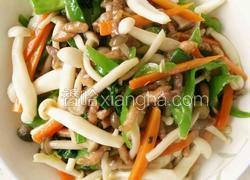 菇菇与小鲜肉