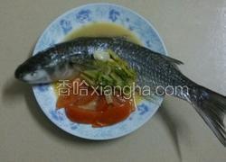 蕃茄煮乌鱼