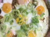 太阳饼