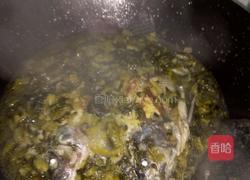 酸菜炖罗非鱼的做法图解3