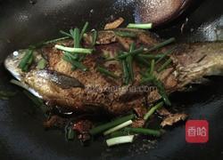 红烧鳊鱼的做法图解8