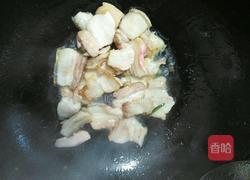 回锅肉（香哈辣酱版）的做法图解5