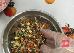 老婆爱吃的水饺王的做法图解1