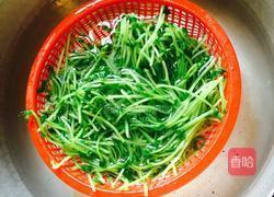 上汤豆苗的做法图解5
