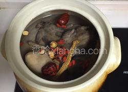 斑鸠乳鸽汤