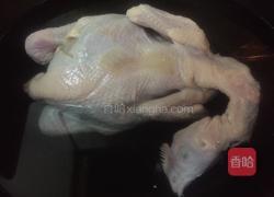 麻辣鸡丝的做法图解1