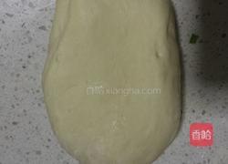 菜鸟如何用酵母发面团的做法图解12