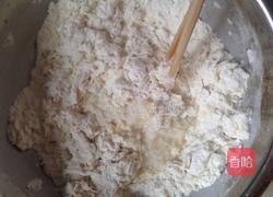 花样酒酿包～（芽菜、红糖、肉松）的做法图解2
