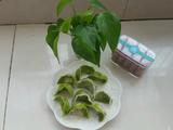 茴香苗猪肉水饺