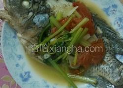 西红柿煮福寿鱼