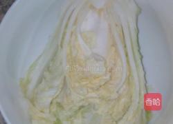 辣白菜的做法图解1
