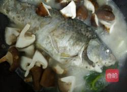 香菇炖鲫鱼汤的做法图解3