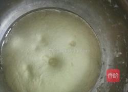 馒头的做法图解5