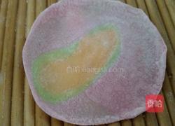 彩色饺子的做法图解4