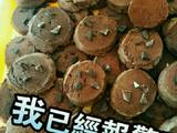 巧克力饼干