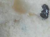 面包机版葡萄干牛奶面包的做法[图]