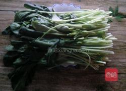 凉拌菠菜的做法图解1