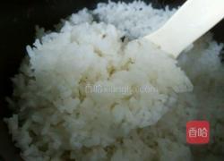 春芥胡萝卜玉米香饭的做法图解5