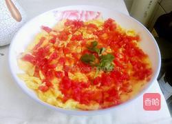 鲜嫩番茄炒蛋派的做法图解5