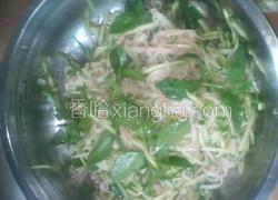 穿心莲拌面皮