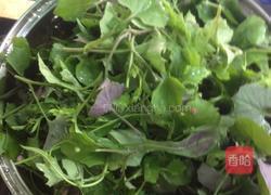 野生蒲公英肉丸子汤的做法图解2