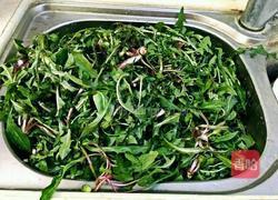 蒜茸拌蒲公英的做法图解2