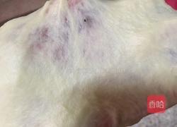 淡奶油椰香包的做法图解5