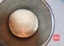 口袋面包（Pitta皮塔饼）的做法图解2