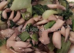 青菜炒香菇