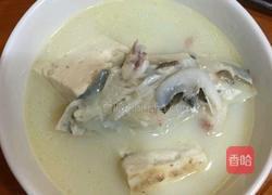 汤白肉嫩鱼头豆腐汤的做法图解5