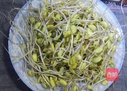 发黄豆青豆芽的做法图解6