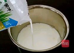 自制酸奶的做法图解2