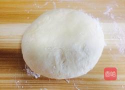 鲜肉馄饨的做法图解4