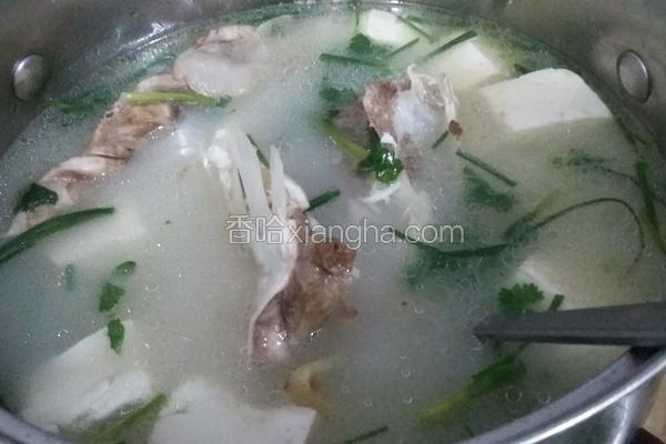 鱼头豆腐汤