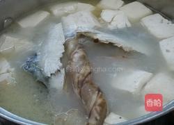 鱼头豆腐汤的做法图解6