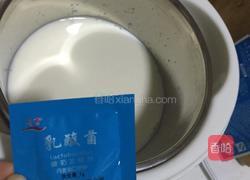 苹果自制酸奶的做法图解2