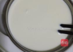苹果自制酸奶的做法图解3