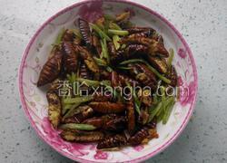 干煸蚕蛹　