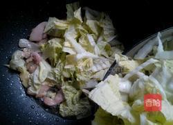 猪肉白菜炖粉条的做法图解6
