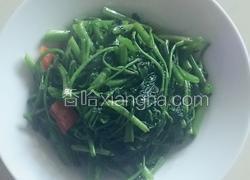 呛炒空心菜