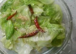 炒洋白菜