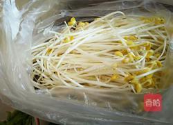 凉拌豆芽的做法图解1