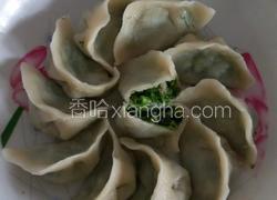 茴香饺子