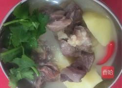 土豆炖牛腩的做法图解8