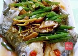 红烧鲈鱼的做法图解12