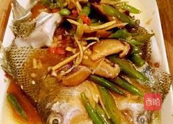 红烧鲈鱼的做法图解11