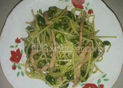 肉丝炒豆苗