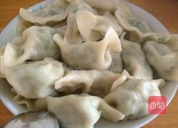 龙豆猪肉饺子的做法图解8